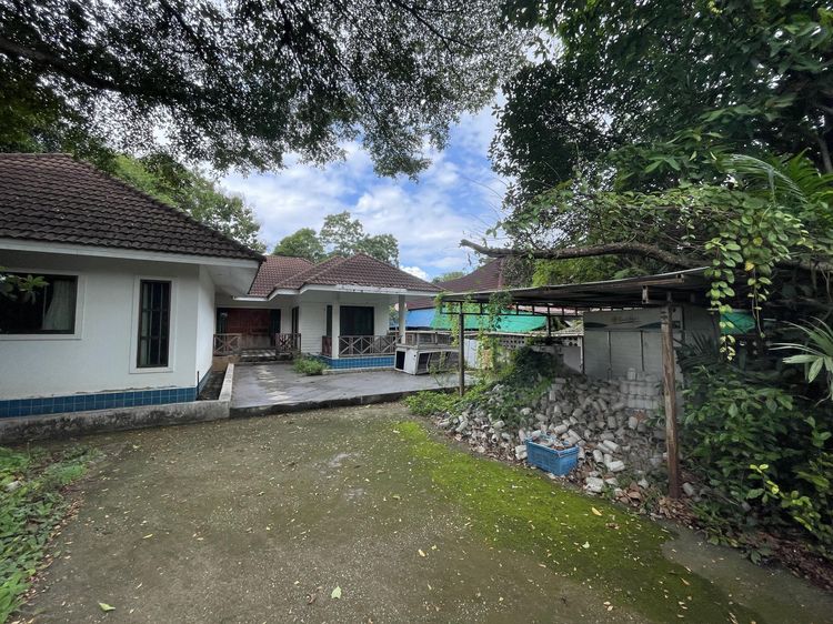 ใช่ 💖 บ้าน สันทราย ราคาพิเศษ! 💖 รูปที่ 4