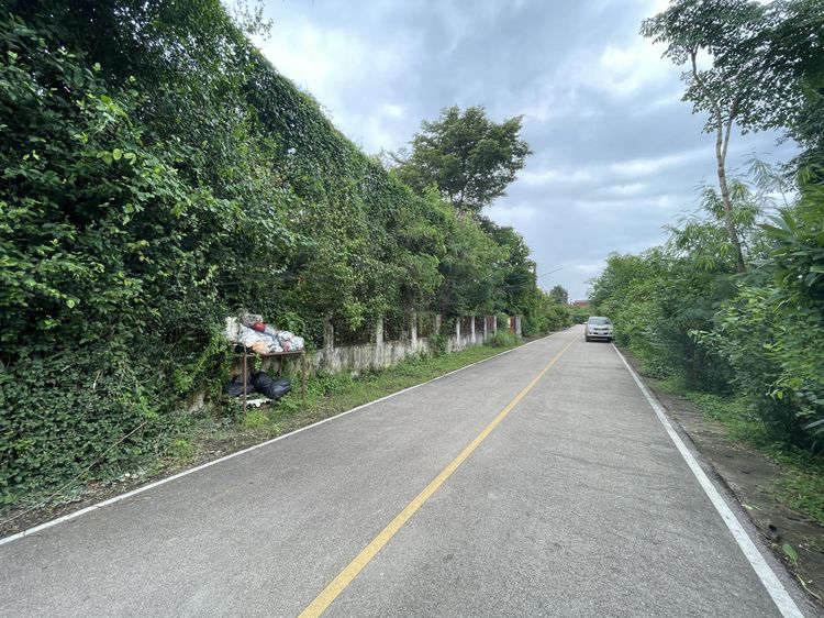 āđāļāđ ð āļāđāļēāļ āļŠāļąāļāļāļĢāļēāļĒ āļĢāļēāļāļēāļāļīāđāļĻāļĐ! ð āļĢāļđāļāļāļĩāđ 3