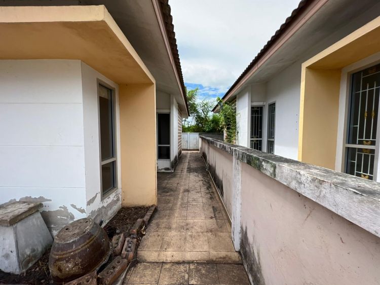 ใช่ 💖 บ้าน ศรีราชา ราคาพิเศษ! 💖 รูปที่ 3