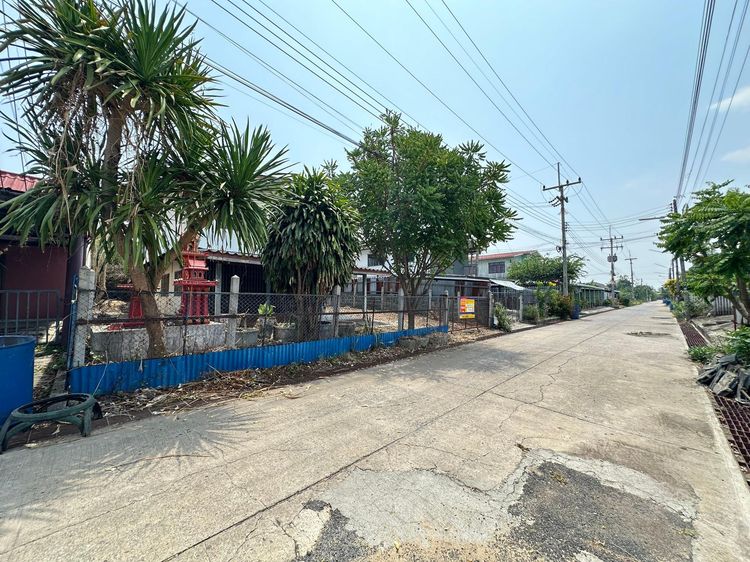 ใช่ 💖 บ้าน ชัยบาดาล ราคาพิเศษ! 💖 รูปที่ 3