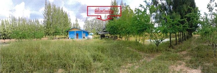 ใช่ 💖 บ้าน โนนไทย ราคาพิเศษ! 💖 รูปที่ 2