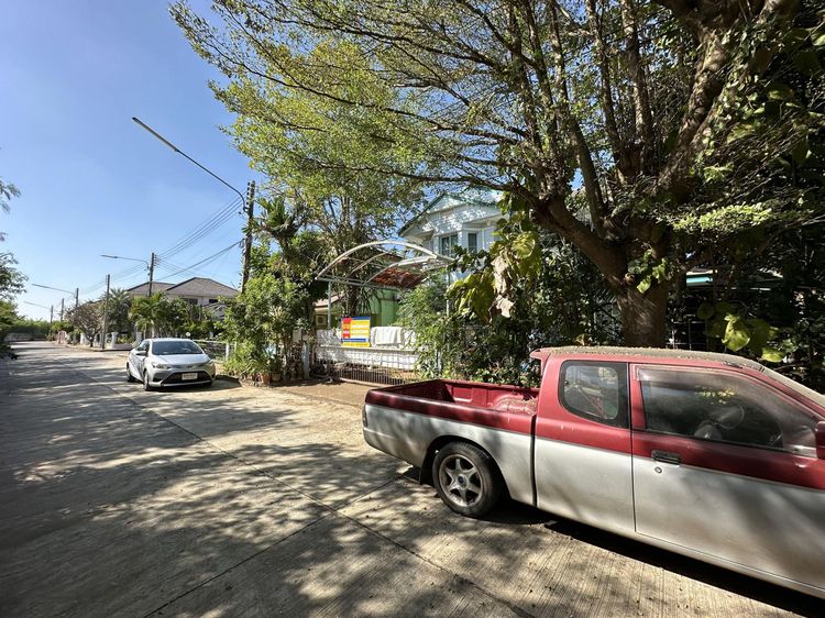 ใช่ 💖 บ้าน เมืองนครราชสีมา ราคาพิเศษ! 💖 รูปที่ 3