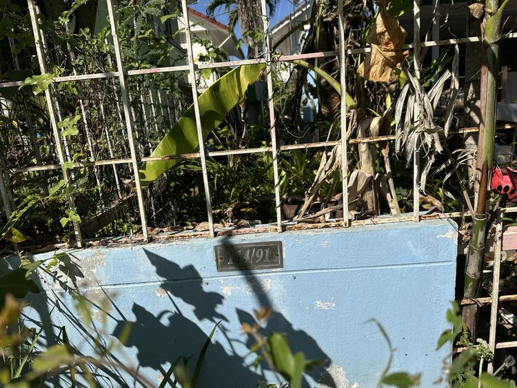 ใช่ 💖 บ้าน เมืองนครราชสีมา ราคาพิเศษ! 💖 รูปที่ 4