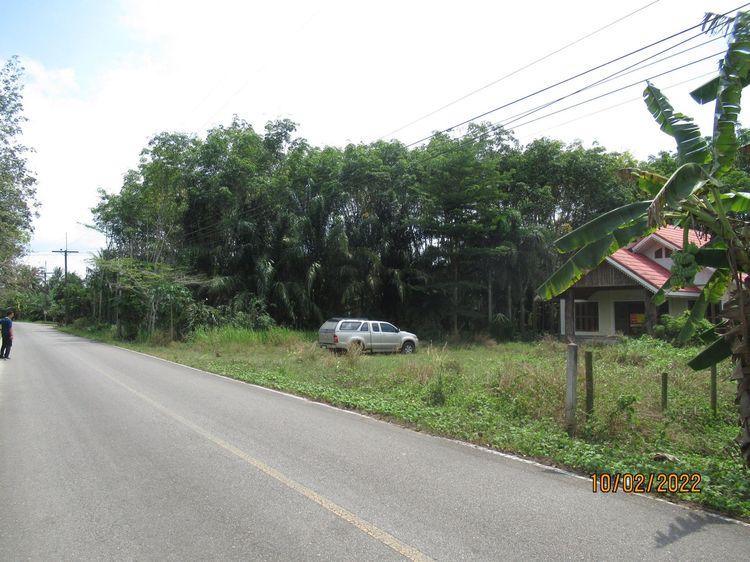 ใช่ 💖 บ้าน คีรีรัฐนิคม ราคาพิเศษ! 💖 รูปที่ 2