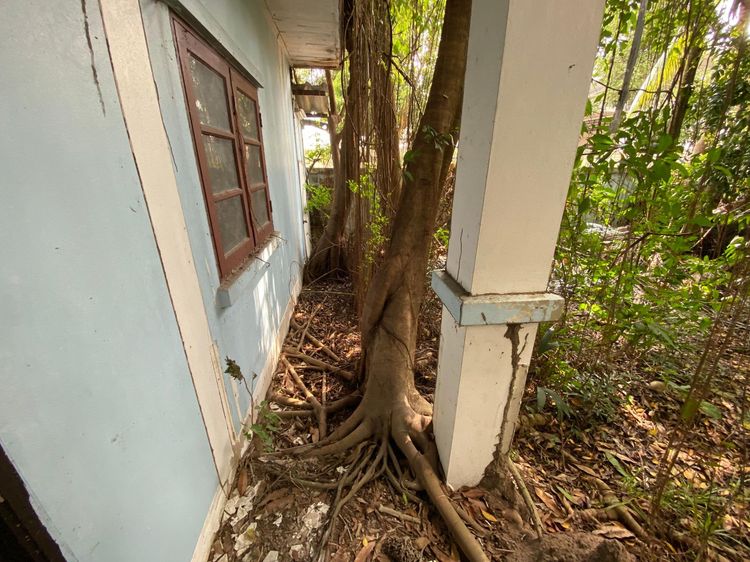 ใช่ 💖 บ้าน เมืองนครนายก ราคาพิเศษ! 💖 รูปที่ 2