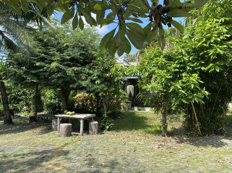 ใช่ 💖 บ้าน สันป่าตอง ราคาพิเศษ! 💖 รูปที่ 4