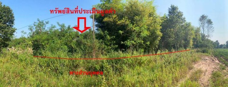 ใช่ 💖 บ้าน เมืองอุดรธานี ราคาพิเศษ! 💖 รูปที่ 4