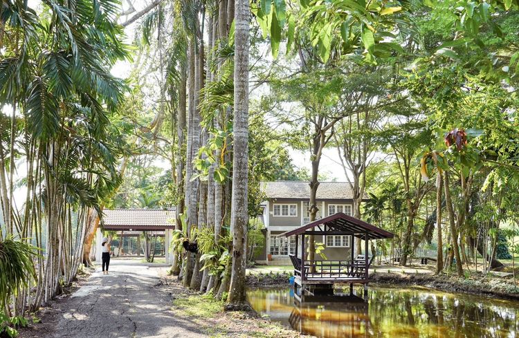 มีบางส่วน 2010 ไม่ใช่ ขายบ้านสวย ร่มรื่น เคยใช้เป็นเรือนรับรองแขกของการบินไทย มีบ้านทั้งหมด 3 หลัง พื้นที่ 3 ไร่ 84 ตารางวา ราคา 21 ลบ. ด้านหน้าติดถนน หลังคลอง  รูปที่ 4