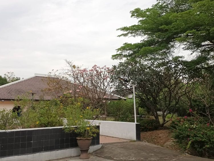 ขายที่ดิน 1ไร่ ติดถนนพหลโยธิน 54-4 ใกล้ประตูกรุงเทพ ใกล้สถานีคปอ. รูปที่ 4