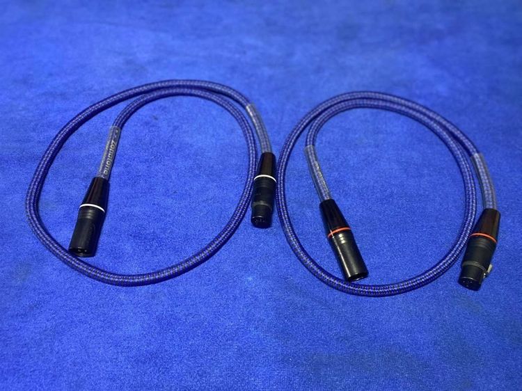 XLR Zonotone japan รูปที่ 8
