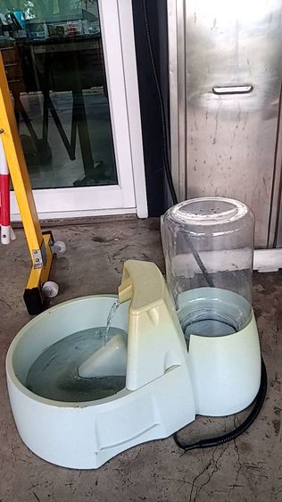 เครื่องให้น้ำl น้ำพุสุนัขและแมว รุ่น Big Dog รูปที่ 3