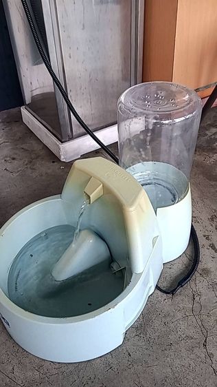 เครื่องให้น้ำl น้ำพุสุนัขและแมว รุ่น Big Dog รูปที่ 2