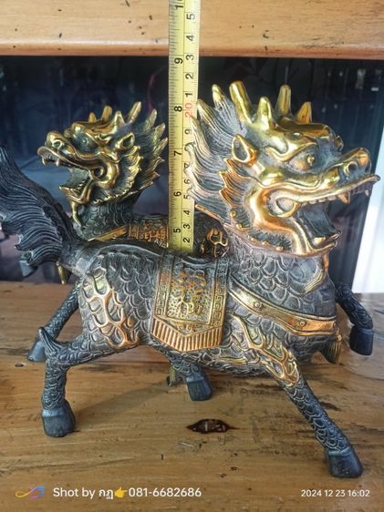 กิเลนคู่มงคลเนื้อทองเหลือง รูปที่ 13