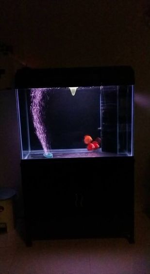 ตู้ปลา36นิ้วทรงสูง พร้อมอุปกรณ์ รูปที่ 2