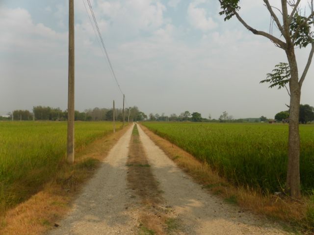 ที่ดินมีโฉนดหลังสนามบินแม่ฟ้าหลวงเชียงราย รูปที่ 4