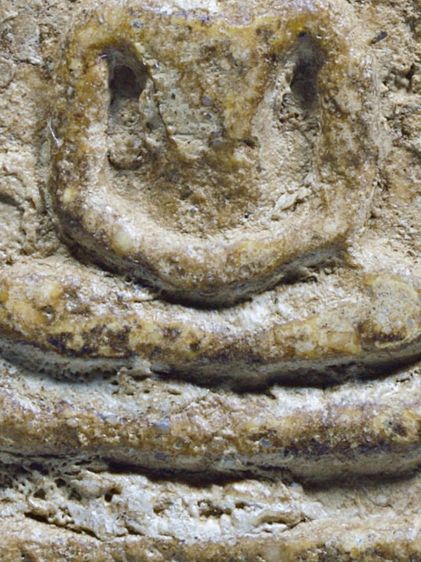 หายาก,เนื้อเทียนชัย พระสมเด็จวัดระฆัง พิมพ์ใหญ่ สภาพใช้ รูปที่ 5