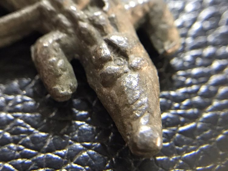 รูปหล่อจระเข้พ่อสนิท รูปที่ 13