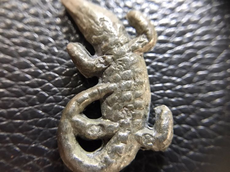 รูปหล่อจระเข้พ่อสนิท รูปที่ 16