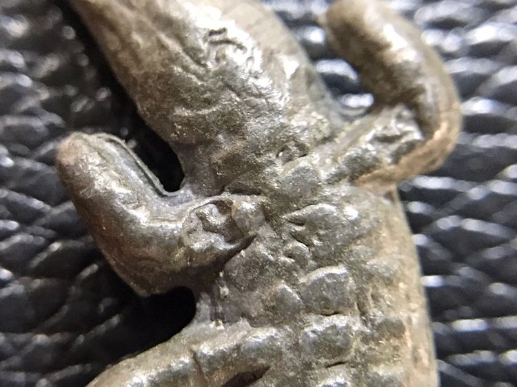 รูปหล่อจระเข้พ่อสนิท รูปที่ 15