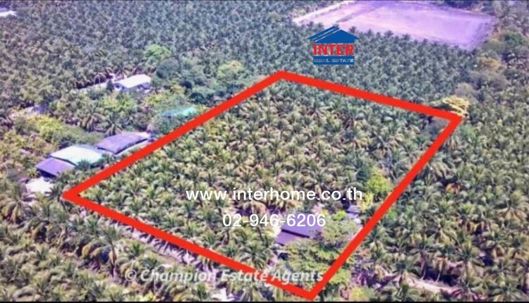 ที่ดินเปล่า 4 ไร่ ที่ดินเปล่า ใกล้ตลาดน้ำหลักห้า ถนนพระราม2 ถนนทางหลวงชนบทสมุทรสาคร ตำบลประสาทสิทธิ์ ดำเนินสะดวก ราชบุรี