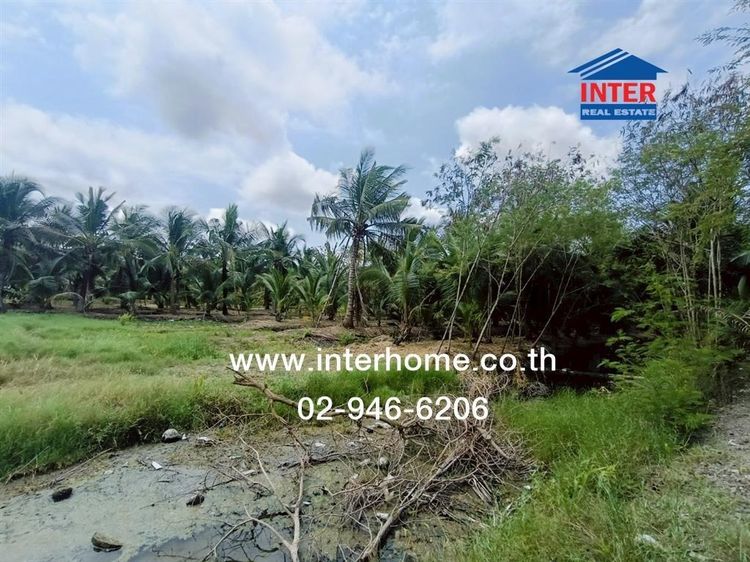 ไม่ใช่ ที่ดินเปล่า 4 ไร่ 301 ตร.ว. ที่ดิน ใกล้สถานีอนามัยบ้านบังปืน ถนนพระราม2 ถนนโครงการบ้านบางสะใภ้ เมืองสมุทรสงคราม สมุทรสงคราม รูปที่ 3