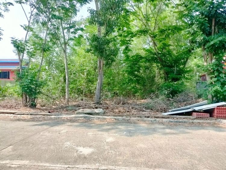 ไม่ใช่ ที่ดินเปล่า 62.5 ตร.ว. หมู่บ้านสวนพัฒนา1 ถนนทางหลวงแผ่นดินหมายเลข3261 ถนนรังสิต-นครนายก หนองเสือ ปทุมธานี รูปที่ 2
