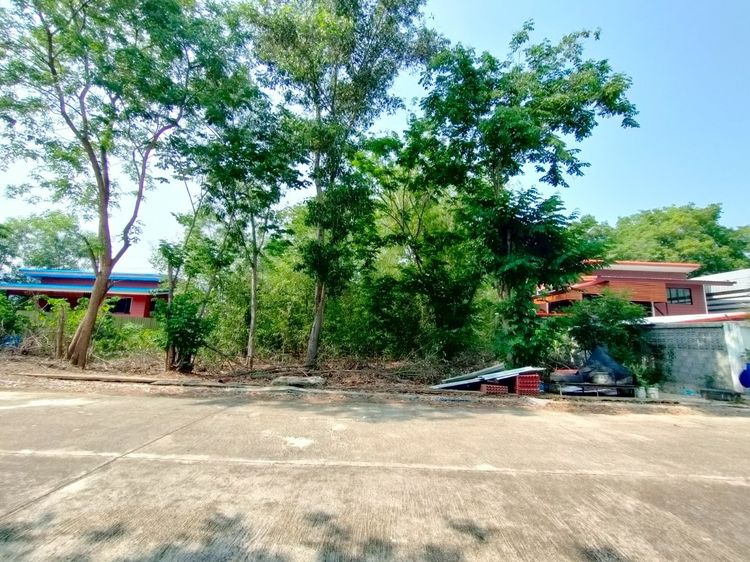 ไม่ใช่ ที่ดินเปล่า 62.5 ตร.ว. หมู่บ้านสวนพัฒนา1 ถนนทางหลวงแผ่นดินหมายเลข3261 ถนนรังสิต-นครนายก หนองเสือ ปทุมธานี รูปที่ 3