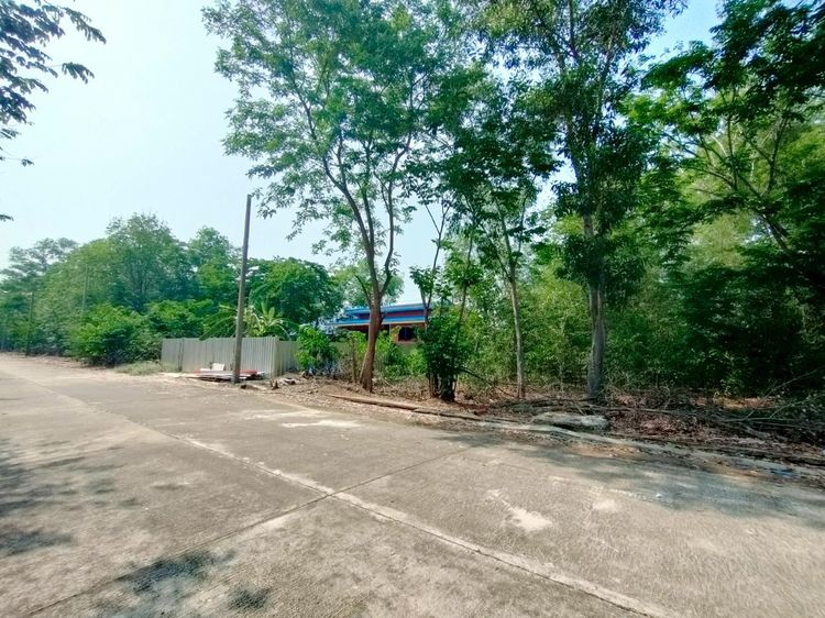 ไม่ใช่ ที่ดินเปล่า 62.5 ตร.ว. หมู่บ้านสวนพัฒนา1 ถนนทางหลวงแผ่นดินหมายเลข3261 ถนนรังสิต-นครนายก หนองเสือ ปทุมธานี รูปที่ 4