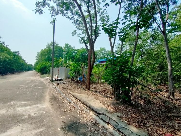 ไม่ใช่ ที่ดินเปล่า 62.5 ตร.ว. หมู่บ้านสวนพัฒนา1 ถนนทางหลวงแผ่นดินหมายเลข3261 ถนนรังสิต-นครนายก หนองเสือ ปทุมธานี