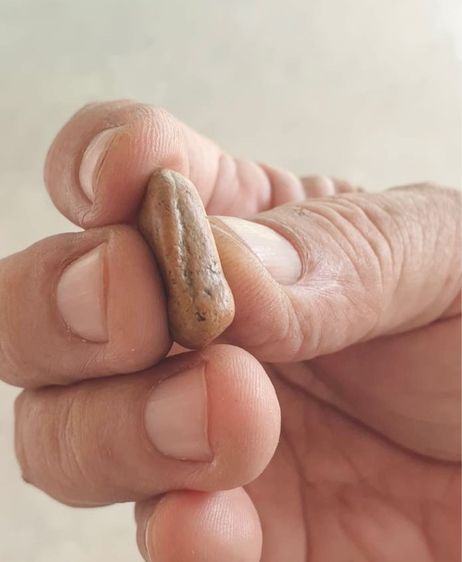 พระซุ้มกอพิมพ์จิ๋ว รูปที่ 5