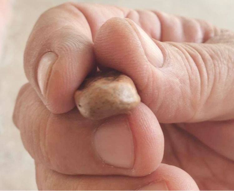 พระซุ้มกอพิมพ์จิ๋ว รูปที่ 6