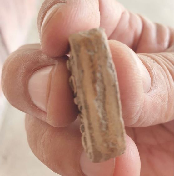 หลวงพ่อปานขี่หนุมาน รูปที่ 4