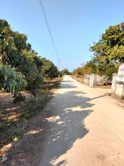 ที่ดิน​ ดอนศิลา​ เวียงชัย​ เชียงราย รูปที่ 3