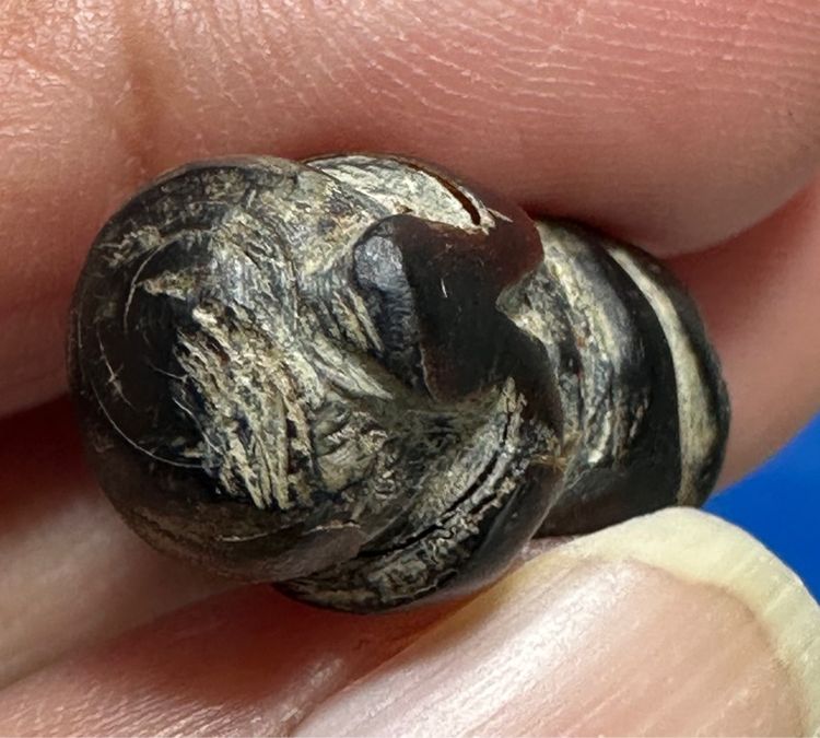 🙏 เครื่องรางของขลัง หนุมานเก่ามีจาร เลี่ยมเดิม ไม่ทราบคณาจารย์ 🙏พระปิดตาเขาแกะ ล.ป.รอด วัดนายโรง ก้นฝังตะกรุดอุดชันโรง องค์ละ2550 รูปที่ 16