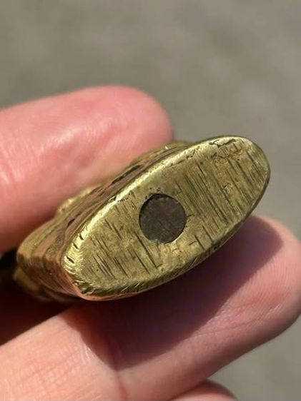 งั่งตาแดง​ ลำตัวหนา​ มีกริ่งดัง​ ​ผิวสวย รูปที่ 3