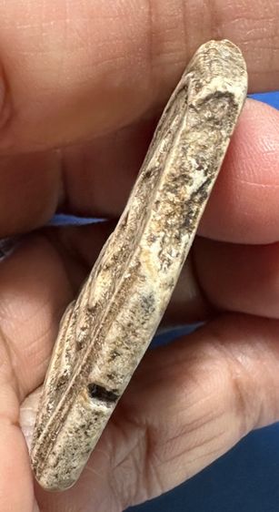 🙏พระสมเด็จพิมพ์โบราณฐานเจ็ดชั้นปรกโพธิ์🙏พระสมเด็จพิมพ์ใหญ่ เนื้อเก่า บิ่นเดิม องค์ละ1000 รูปที่ 13