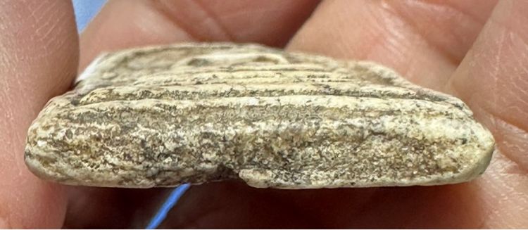 🙏พระสมเด็จพิมพ์โบราณฐานเจ็ดชั้นปรกโพธิ์🙏พระสมเด็จพิมพ์ใหญ่ เนื้อเก่า บิ่นเดิม องค์ละ1000 รูปที่ 14