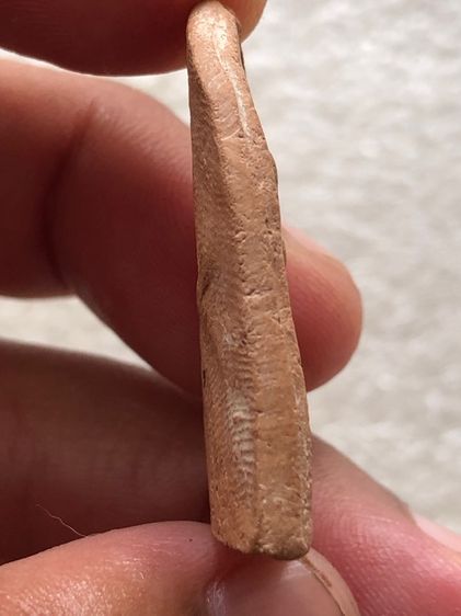 พระกรุวัดชนะสงคราม  รูปที่ 3