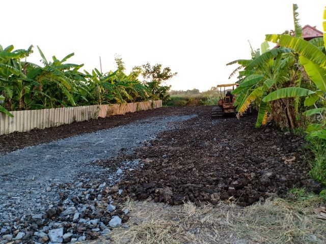 ขายที่ดินลำต้อยติ่ง ติดคลอง