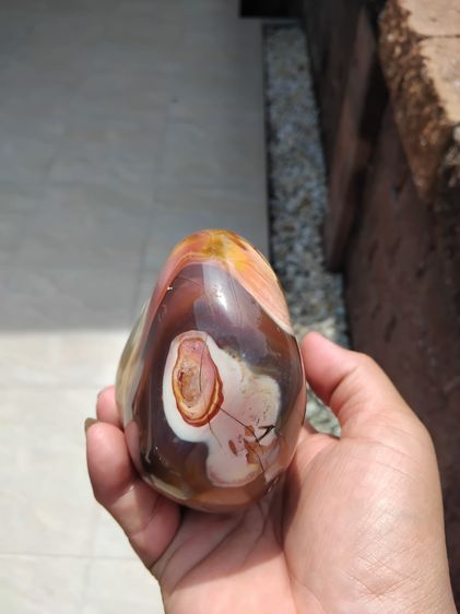 หินอาเกต ขัดมัน ขนาดใหญ่ กว้าง 2 ยาว 4 หนา 2 นิ้ว สีเทา แดง ดำ น้ำตาล ส้ม เหลือง และขาว สีสดมาก น้ำหนักมาก มากกว่า 1 กก. อายุเป็น 1,000 ปี แ รูปที่ 6