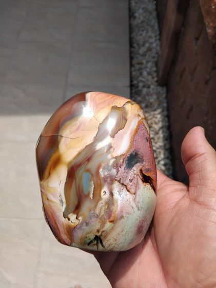 หินอาเกต ขัดมัน ขนาดใหญ่ กว้าง 2 ยาว 4 หนา 2 นิ้ว สีเทา แดง ดำ น้ำตาล ส้ม เหลือง และขาว สีสดมาก น้ำหนักมาก มากกว่า 1 กก. อายุเป็น 1,000 ปี แ รูปที่ 2