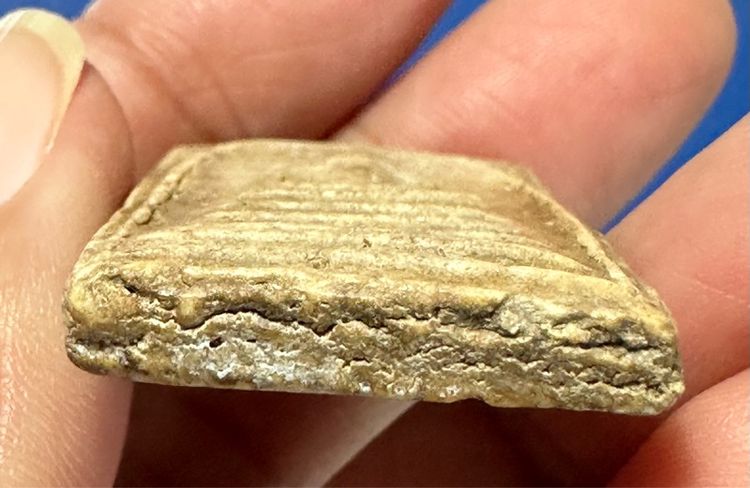 🙏พระสมเด็จบางขุนพรหม ฐานคู่🙏พระสมเด็จบางขุนพรหม พิมพ์เส้นด้าย องค์ละ 1550 รูปที่ 16