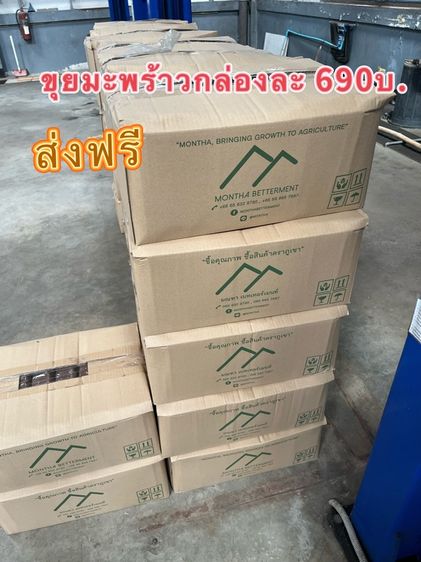 ขุยมะพร้าวอัดก้อน ล้างสารเทนนิลแล้ว ก้อนละ 200 กรัม 48 ก้อน ยกลัง ส่งฟรี รูปที่ 6