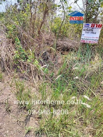 ไม่ใช่ ที่ดินเปล่า 50 ตร.ว. ที่ดินเปล่า ใกล้โลตัสคลองเจ็ด สหการประมูล ถนนรังสิต-นครนายก ถนนคลอง7 หนองเสือ ปทุมธานี รูปที่ 4