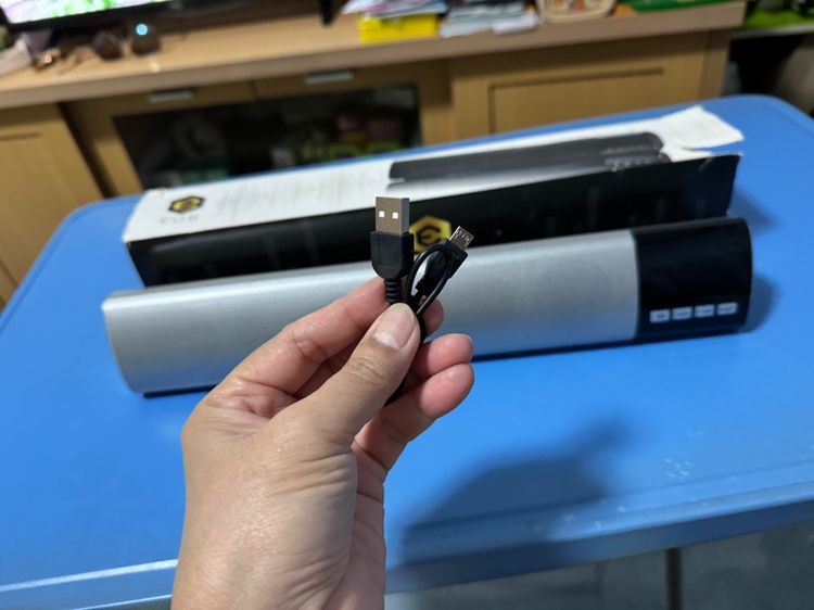 ลำโพง รูปที่ 13