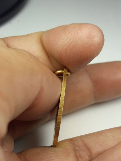 เหรียญหลวงพ่อบุญมีวัดเขาสมอคอน รูปที่ 3