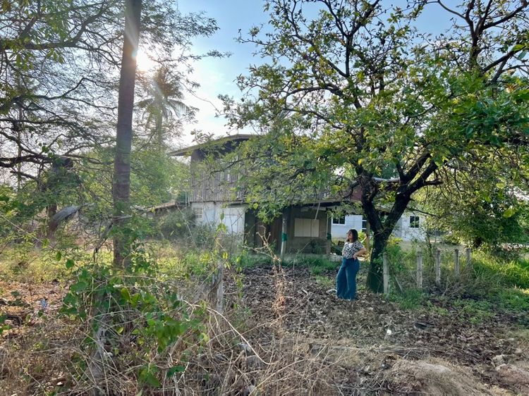 ขายบ้านพร้อมที่ดินสวยมาก ใจกลางอำเภอ