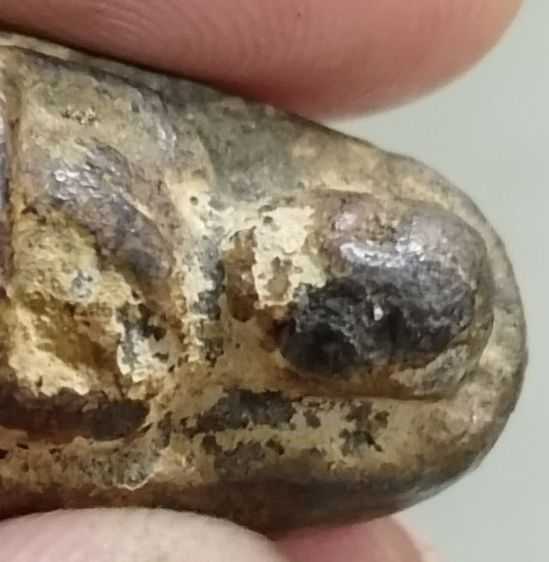 หลวงปู่ทวด พิมพ์พระรอด เนื้อว่าน ปี2497 รูปที่ 6