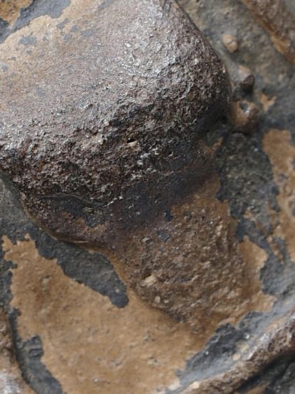 ให้เช่าพระบ้าน พระชุดเบญจภาคี พระผงสุพรรณ พิมพ์หน้าหนุ่ม สวย รูปที่ 3