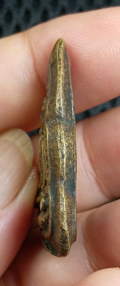 เหรียญหล่อชินราช รูปที่ 3